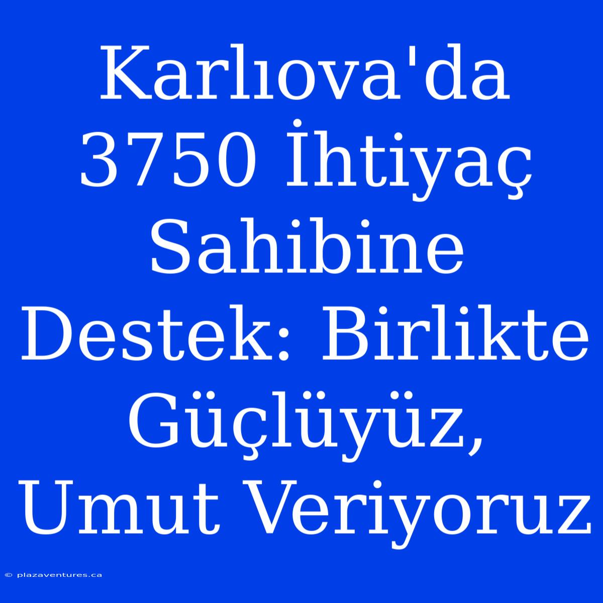 Karlıova'da 3750 İhtiyaç Sahibine Destek: Birlikte Güçlüyüz, Umut Veriyoruz