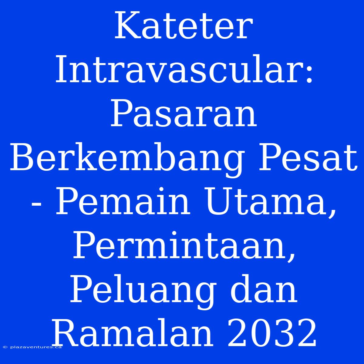 Kateter Intravascular: Pasaran Berkembang Pesat - Pemain Utama, Permintaan, Peluang Dan Ramalan 2032