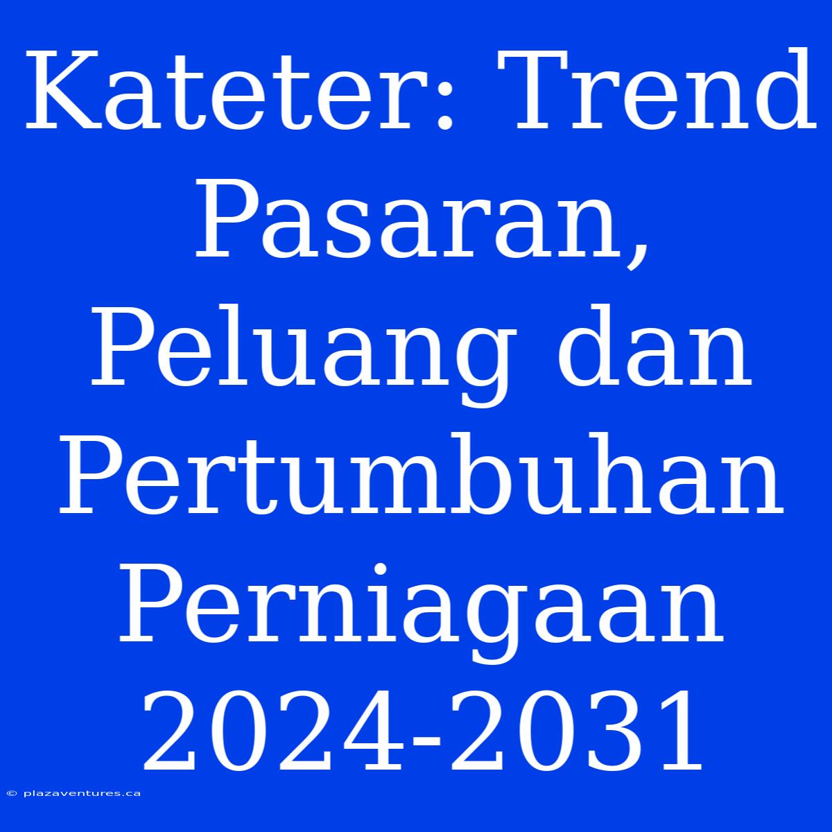 Kateter: Trend Pasaran, Peluang Dan Pertumbuhan Perniagaan 2024-2031