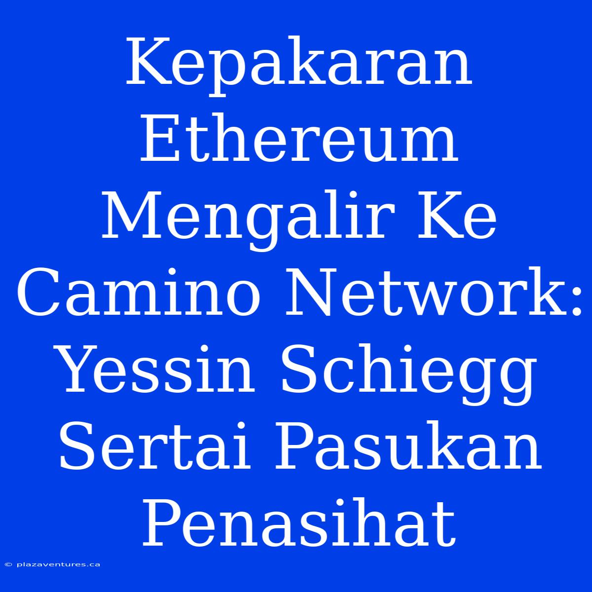 Kepakaran Ethereum Mengalir Ke Camino Network: Yessin Schiegg Sertai Pasukan Penasihat