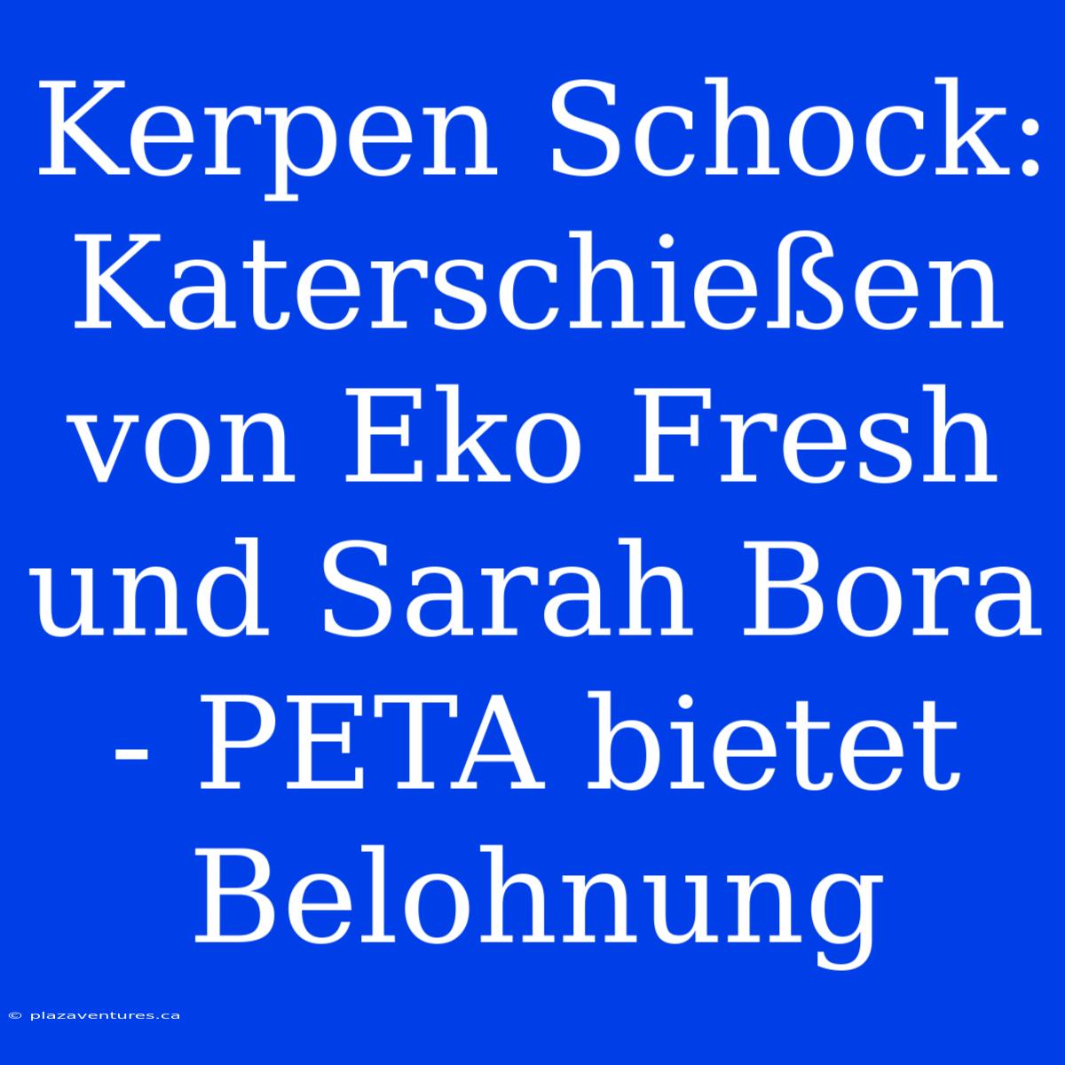 Kerpen Schock: Katerschießen Von Eko Fresh Und Sarah Bora - PETA Bietet Belohnung