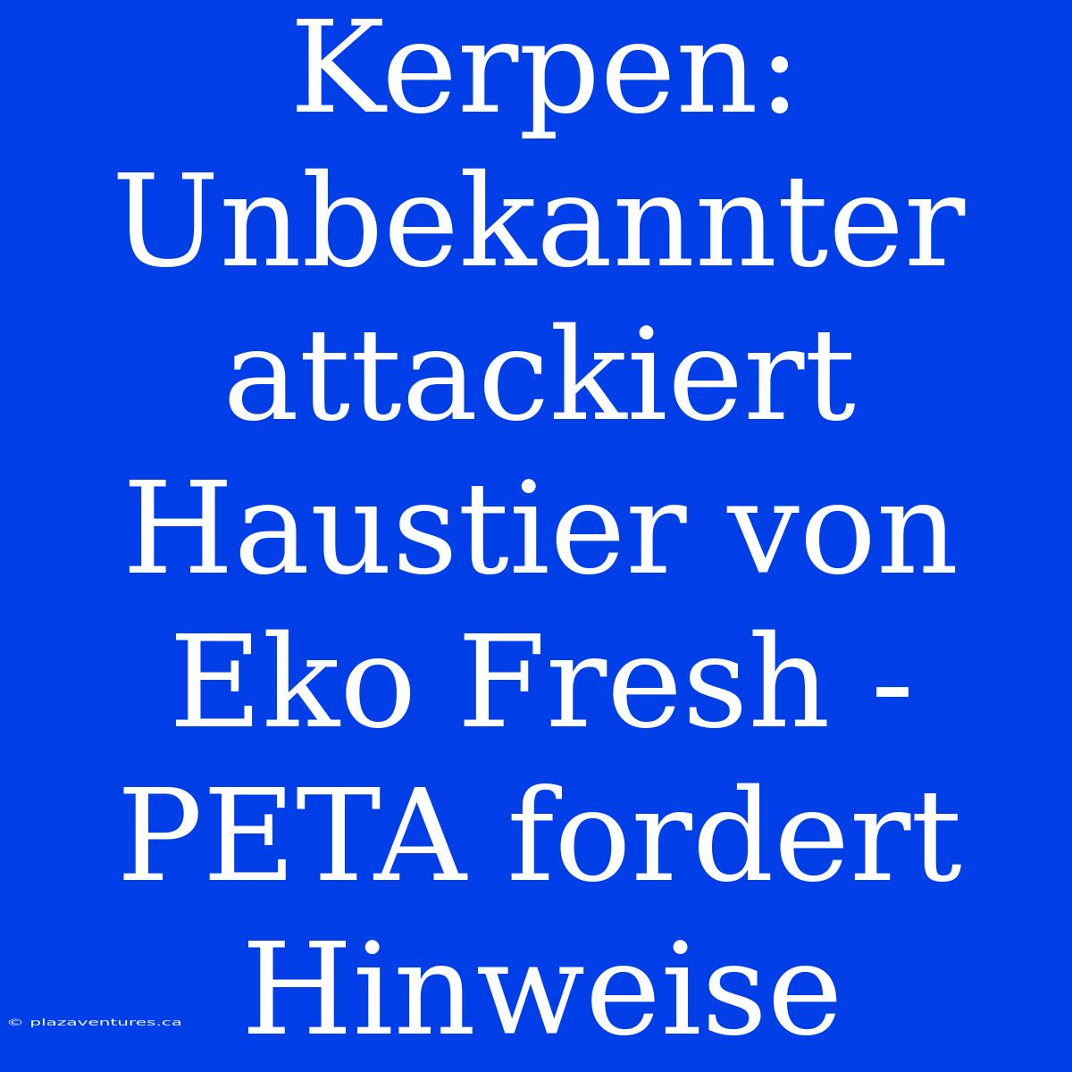 Kerpen: Unbekannter Attackiert Haustier Von Eko Fresh - PETA Fordert Hinweise