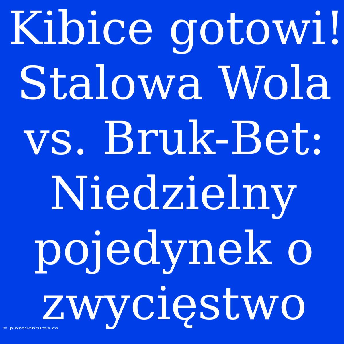 Kibice Gotowi! Stalowa Wola Vs. Bruk-Bet: Niedzielny Pojedynek O Zwycięstwo