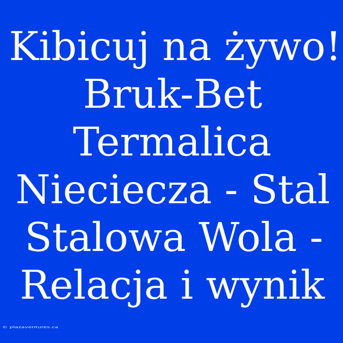 Kibicuj Na Żywo! Bruk-Bet Termalica Nieciecza - Stal Stalowa Wola - Relacja I Wynik