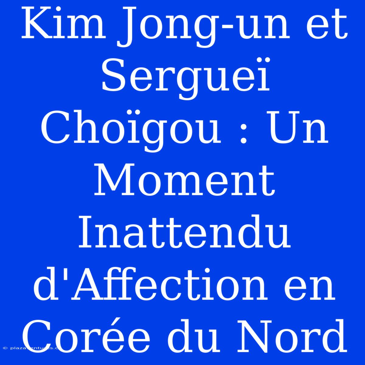 Kim Jong-un Et Sergueï Choïgou : Un Moment Inattendu D'Affection En Corée Du Nord