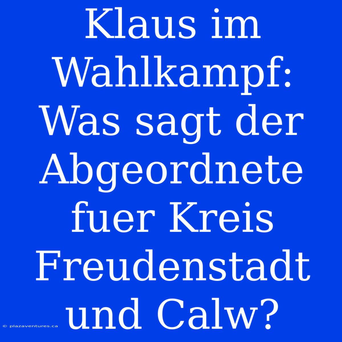 Klaus Im Wahlkampf: Was Sagt Der Abgeordnete Fuer Kreis Freudenstadt Und Calw?