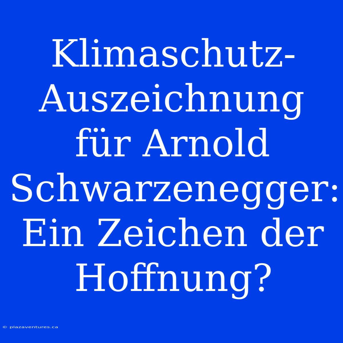 Klimaschutz-Auszeichnung Für Arnold Schwarzenegger:  Ein Zeichen Der Hoffnung?