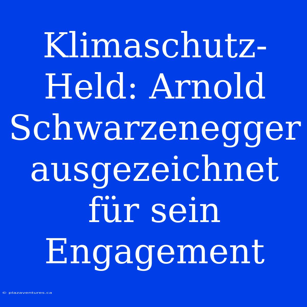 Klimaschutz-Held: Arnold Schwarzenegger Ausgezeichnet Für Sein Engagement