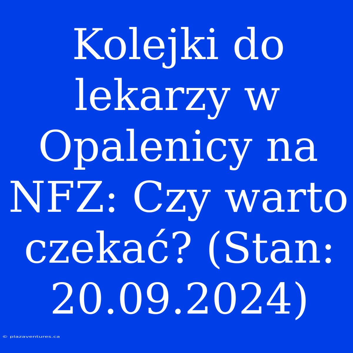 Kolejki Do Lekarzy W Opalenicy Na NFZ: Czy Warto Czekać? (Stan: 20.09.2024)