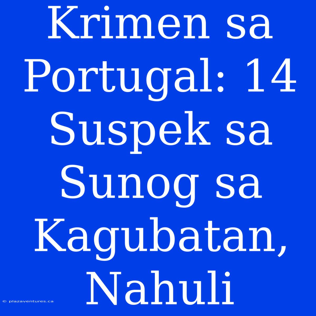 Krimen Sa Portugal: 14 Suspek Sa Sunog Sa Kagubatan, Nahuli