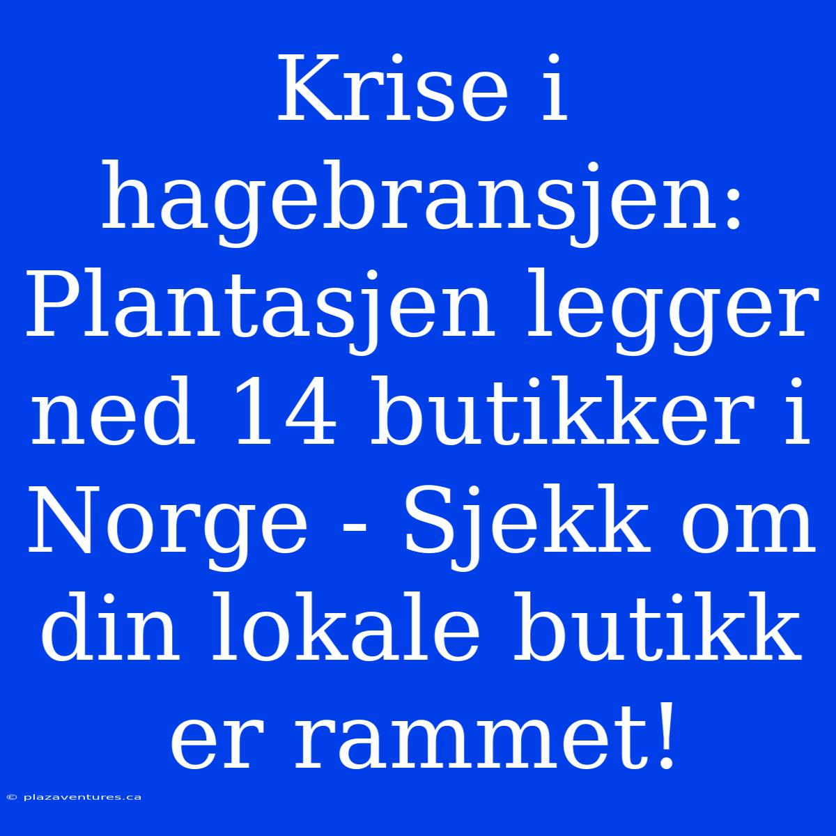 Krise I Hagebransjen: Plantasjen Legger Ned 14 Butikker I Norge - Sjekk Om Din Lokale Butikk Er Rammet!