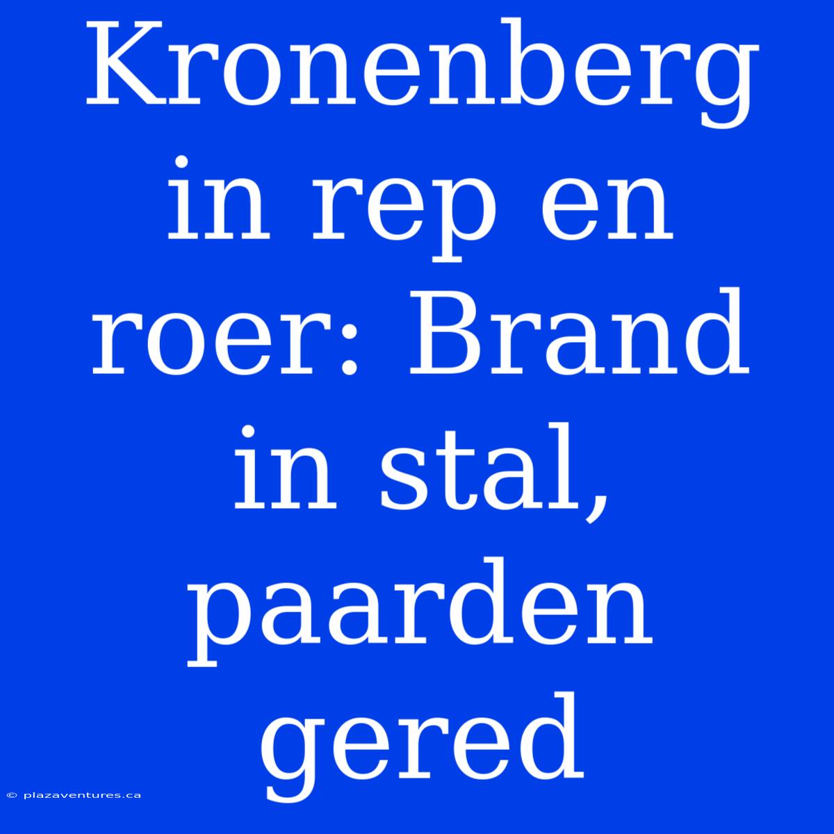 Kronenberg In Rep En Roer: Brand In Stal, Paarden Gered