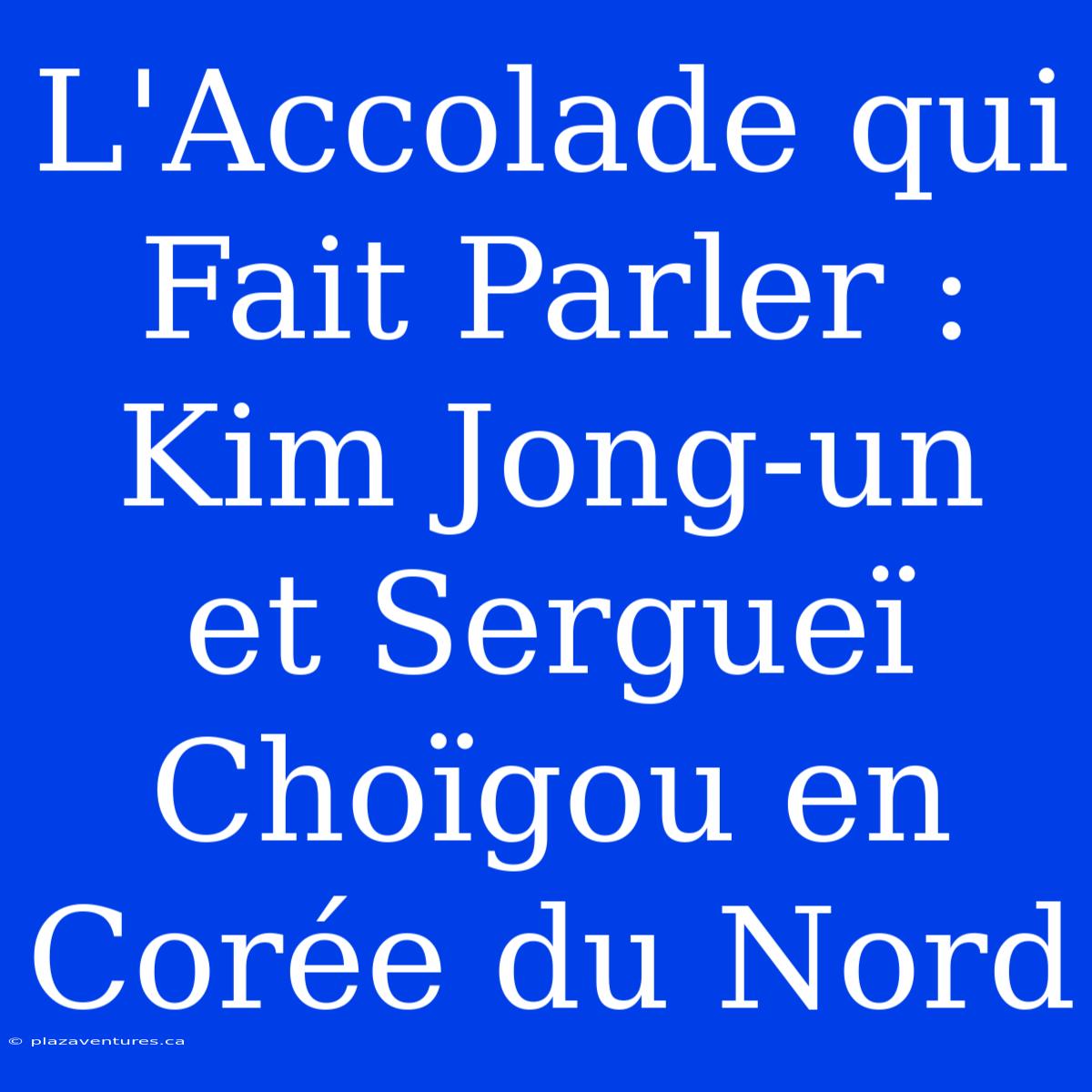 L'Accolade Qui Fait Parler : Kim Jong-un Et Sergueï Choïgou En Corée Du Nord