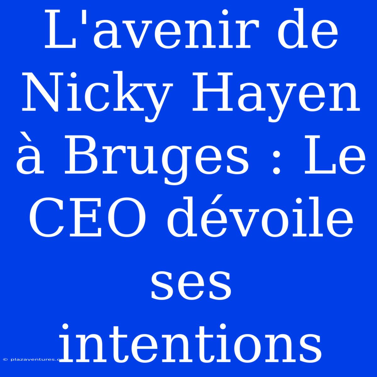 L'avenir De Nicky Hayen À Bruges : Le CEO Dévoile Ses Intentions