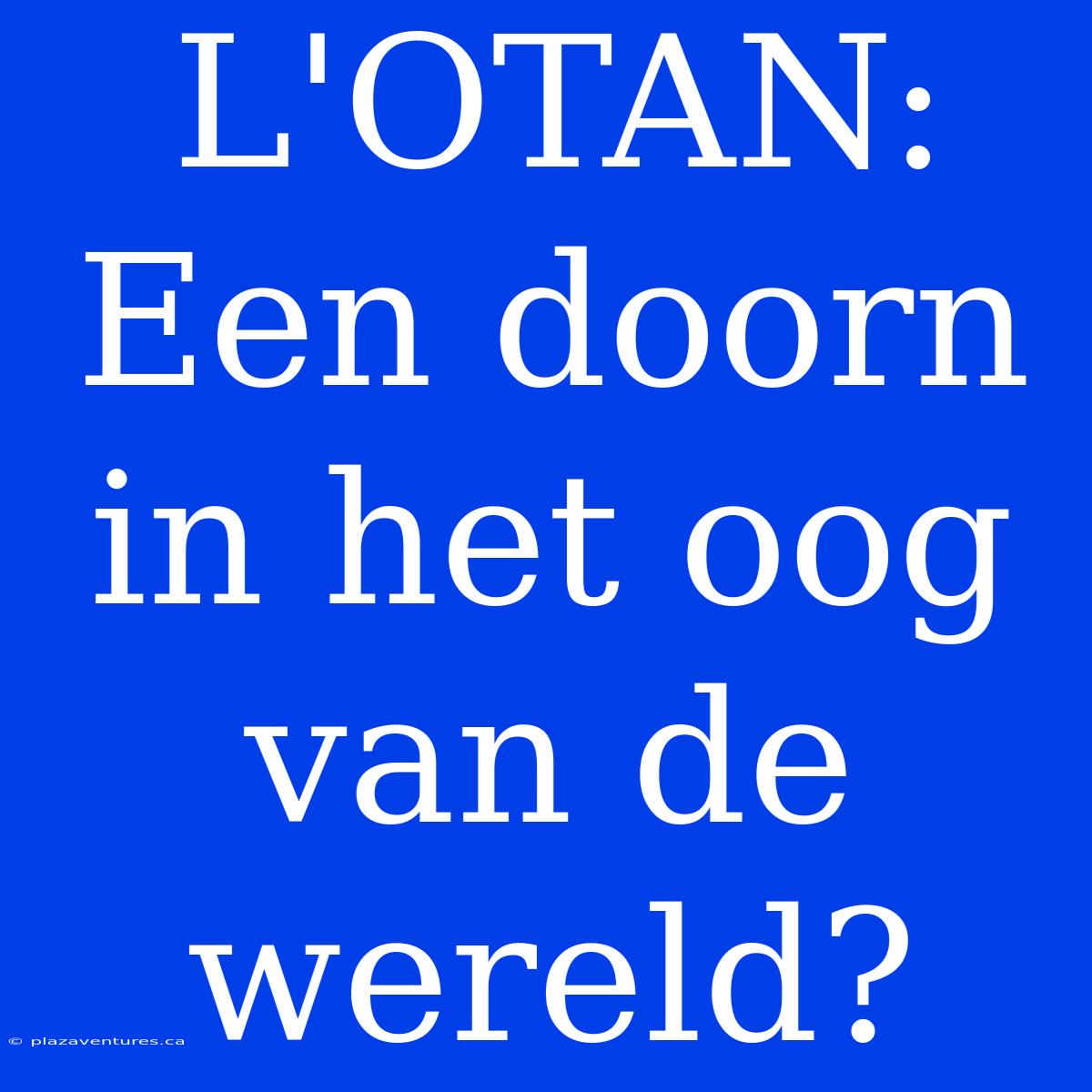 L'OTAN: Een Doorn In Het Oog Van De Wereld?