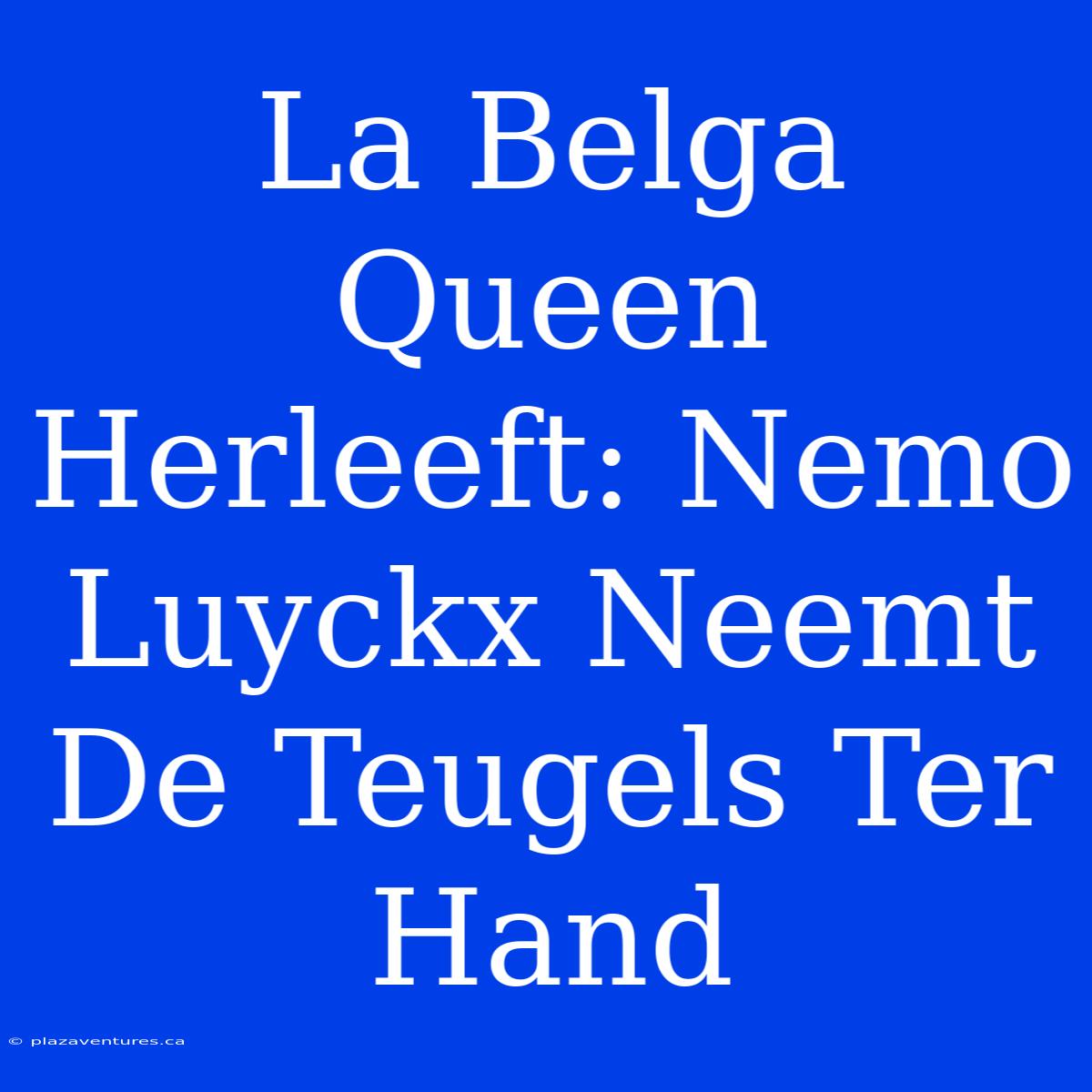 La Belga Queen Herleeft: Nemo Luyckx Neemt De Teugels Ter Hand