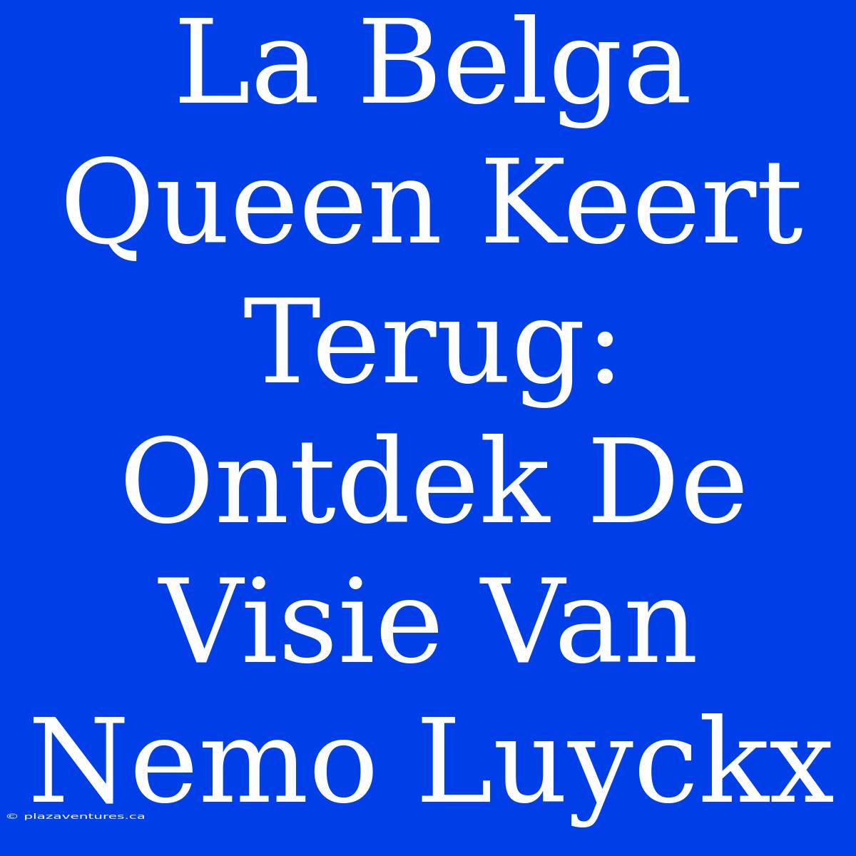 La Belga Queen Keert Terug: Ontdek De Visie Van Nemo Luyckx