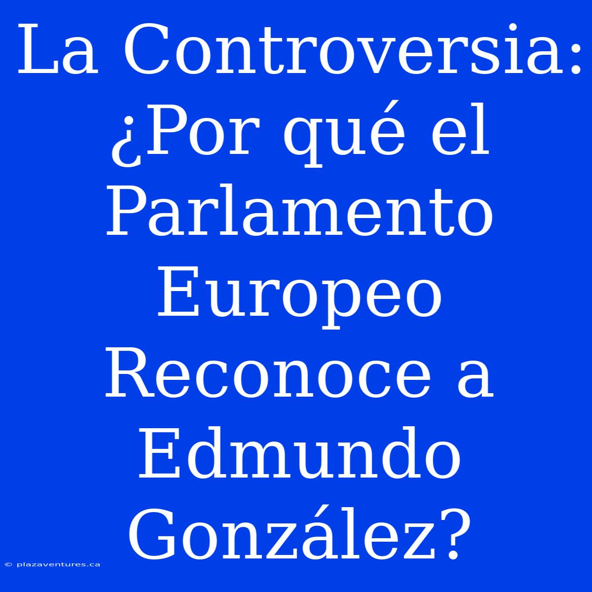 La Controversia: ¿Por Qué El Parlamento Europeo Reconoce A Edmundo González?