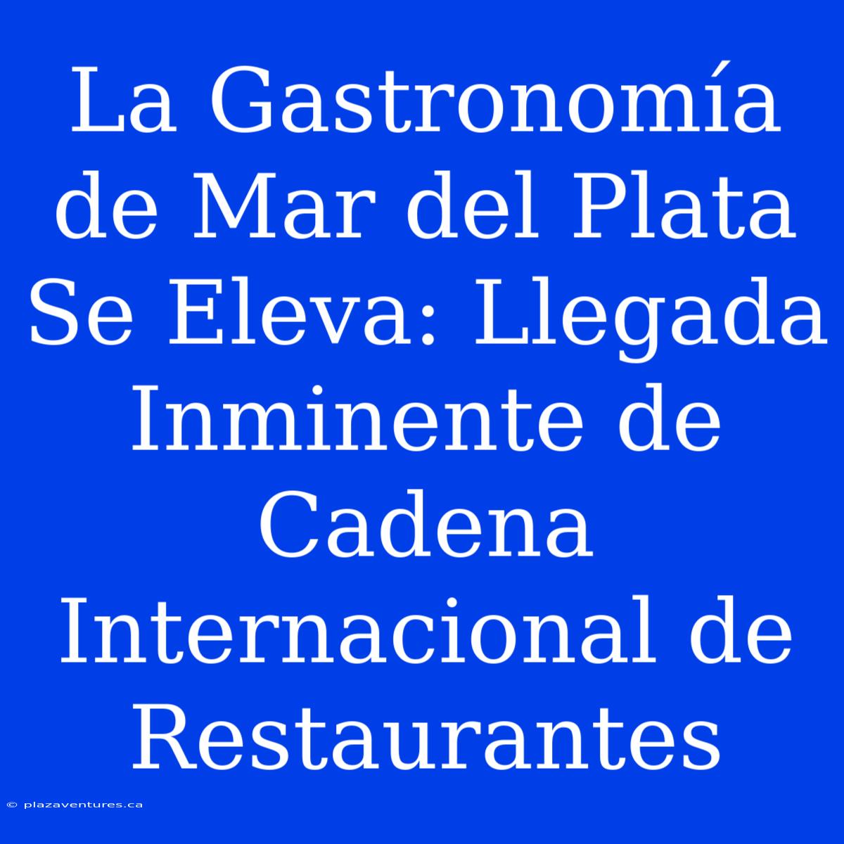 La Gastronomía De Mar Del Plata Se Eleva: Llegada Inminente De Cadena Internacional De Restaurantes