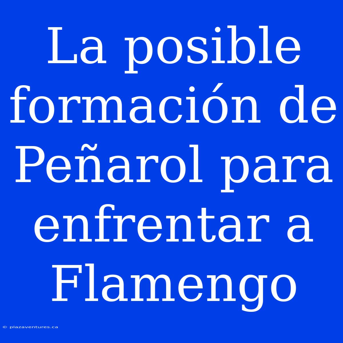 La Posible Formación De Peñarol Para Enfrentar A Flamengo