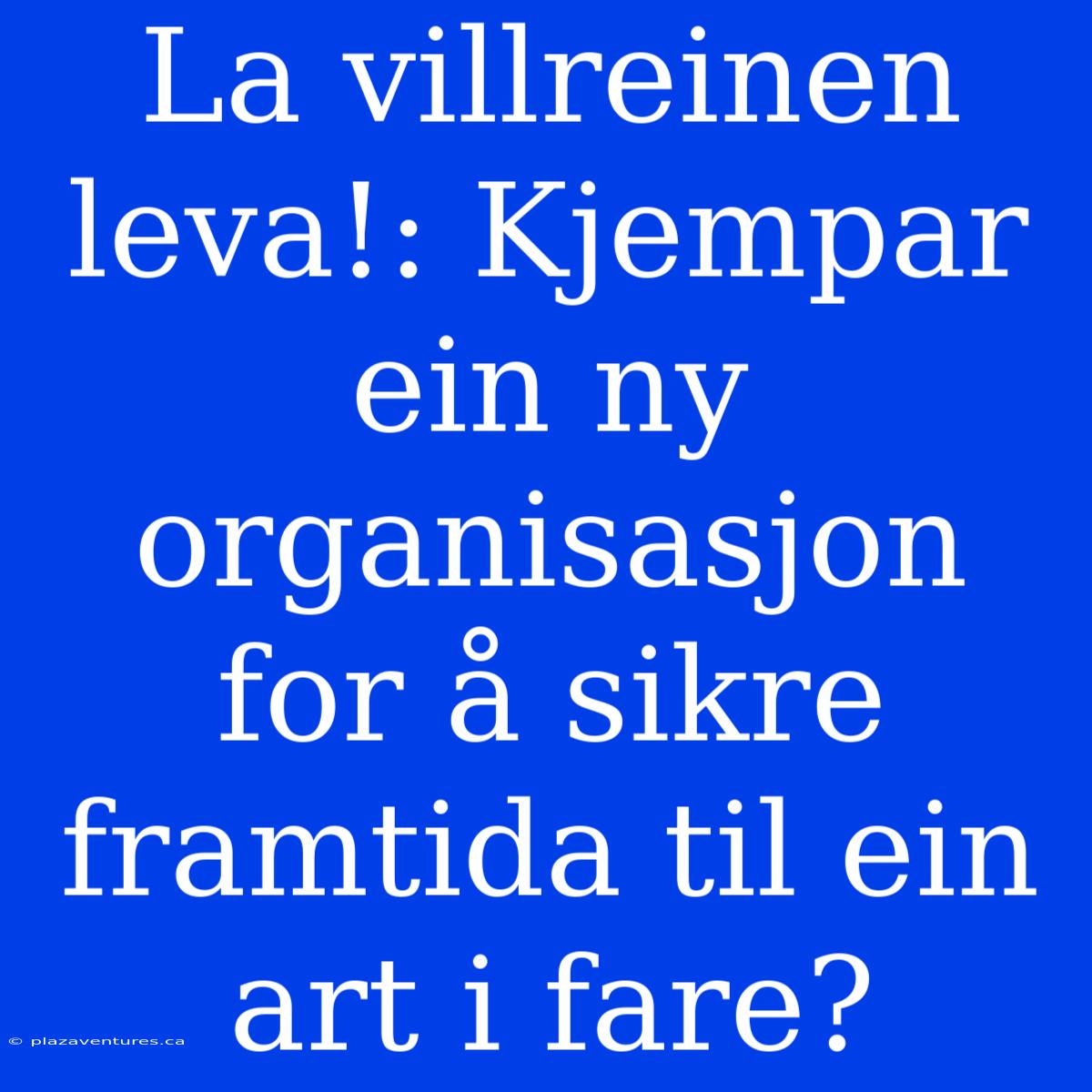 La Villreinen Leva!: Kjempar Ein Ny Organisasjon For Å Sikre Framtida Til Ein Art I Fare?