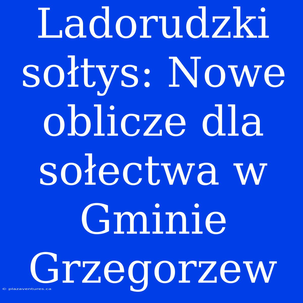 Ladorudzki Sołtys: Nowe Oblicze Dla Sołectwa W Gminie Grzegorzew