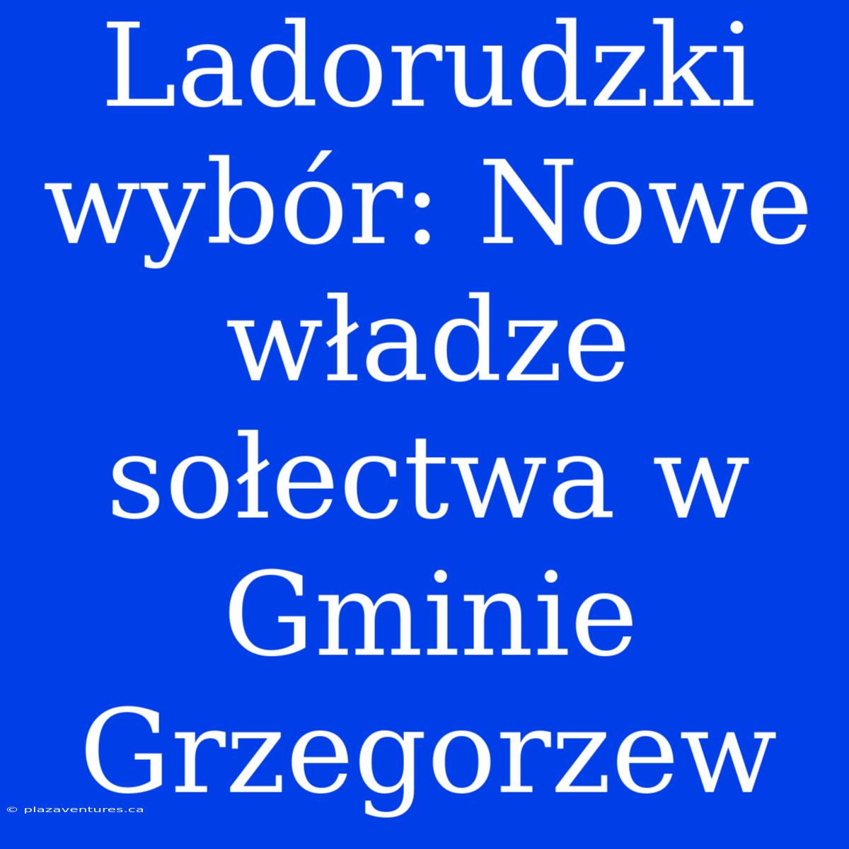 Ladorudzki Wybór: Nowe Władze Sołectwa W Gminie Grzegorzew