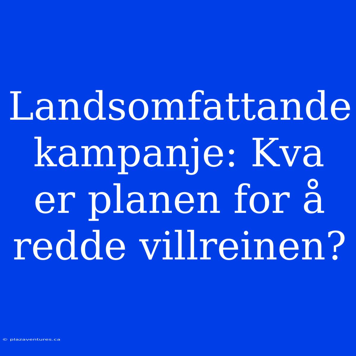 Landsomfattande Kampanje: Kva Er Planen For Å Redde Villreinen?