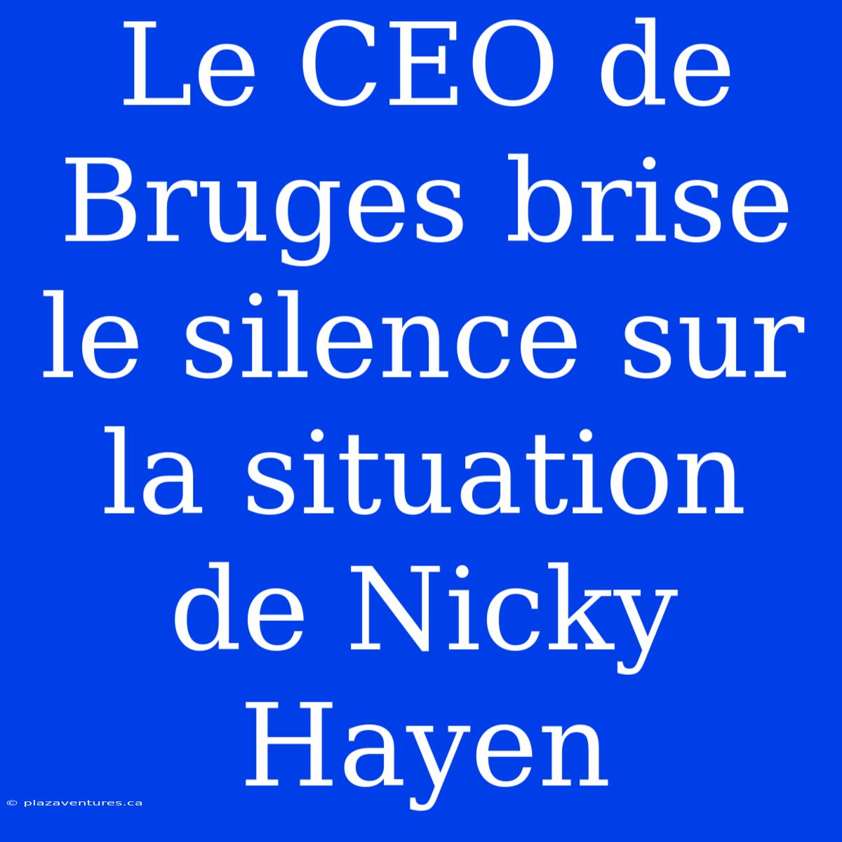 Le CEO De Bruges Brise Le Silence Sur La Situation De Nicky Hayen