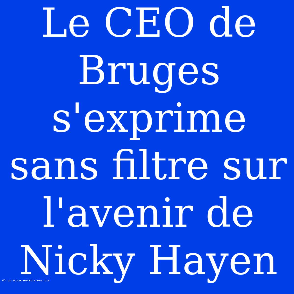 Le CEO De Bruges S'exprime Sans Filtre Sur L'avenir De Nicky Hayen