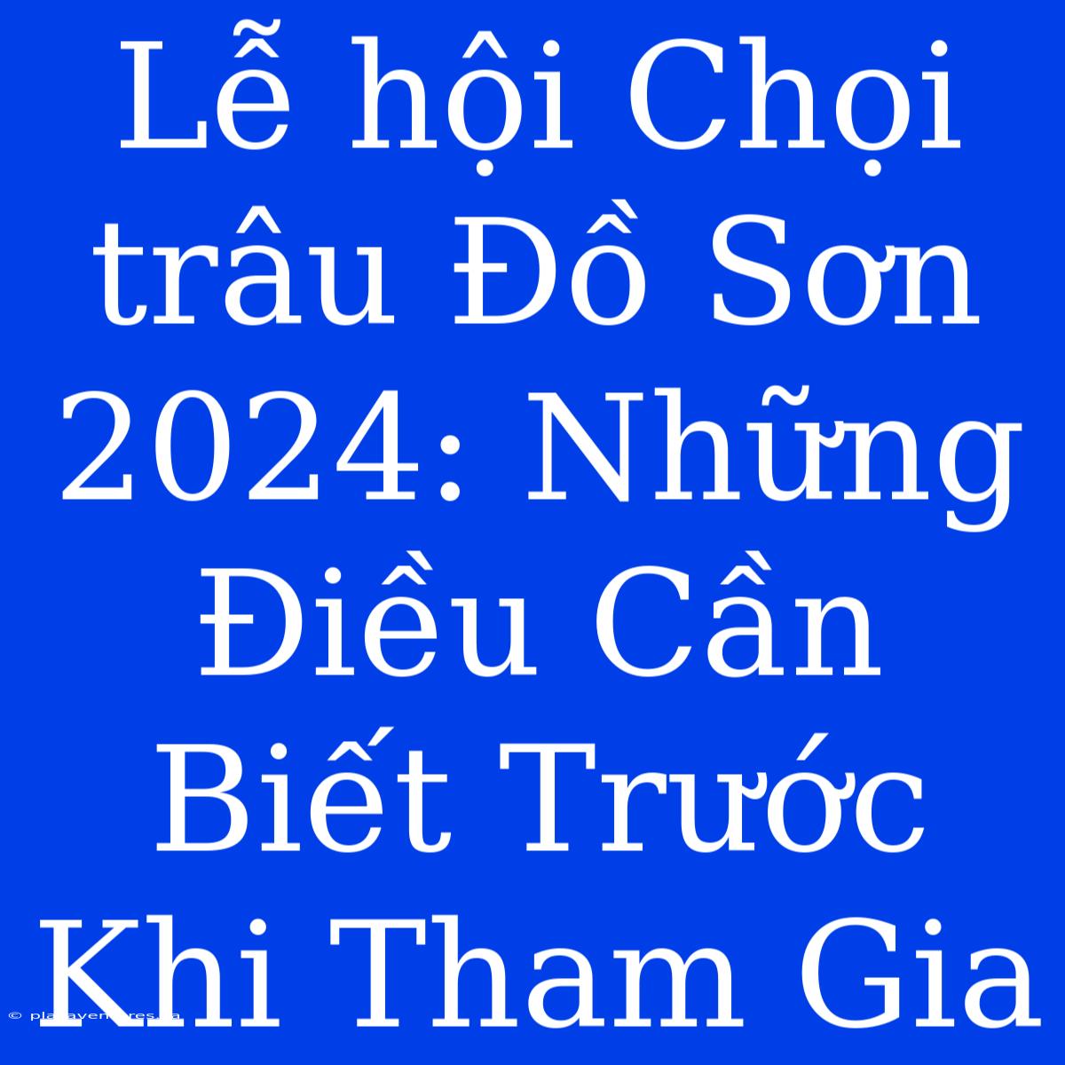 Lễ Hội Chọi Trâu Đồ Sơn 2024: Những Điều Cần Biết Trước Khi Tham Gia