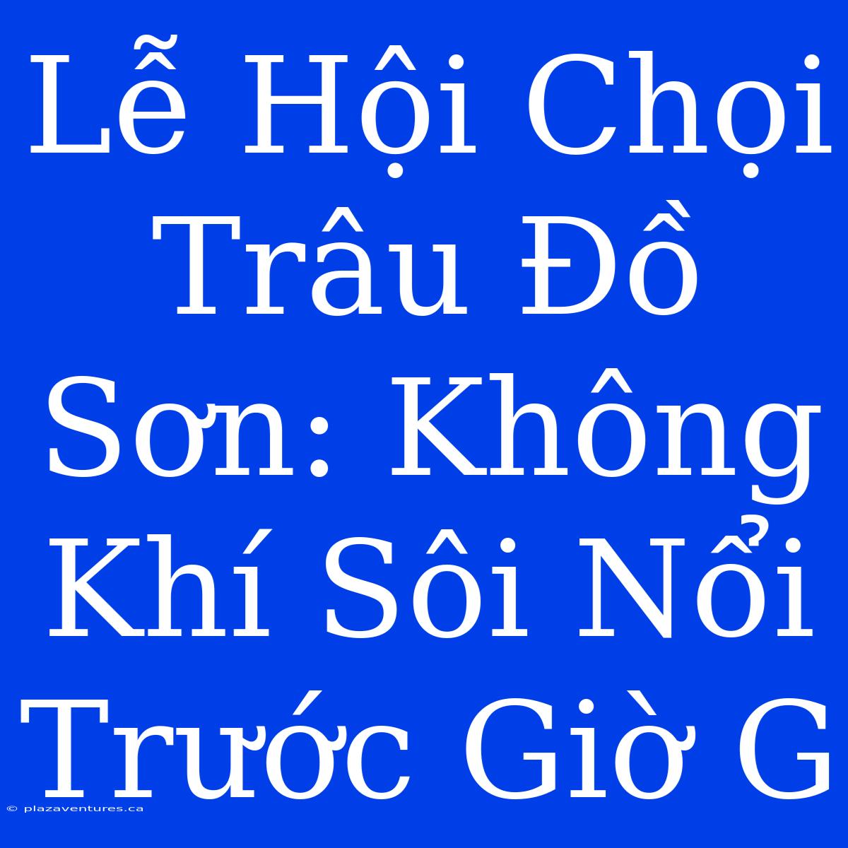 Lễ Hội Chọi Trâu Đồ Sơn: Không Khí Sôi Nổi Trước Giờ G