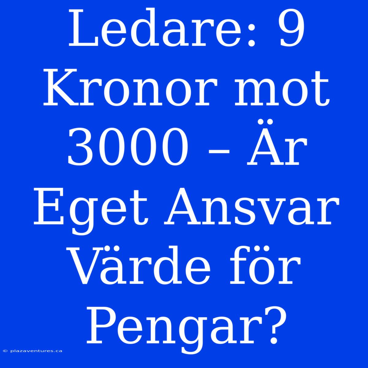 Ledare: 9 Kronor Mot 3000 – Är Eget Ansvar Värde För Pengar?