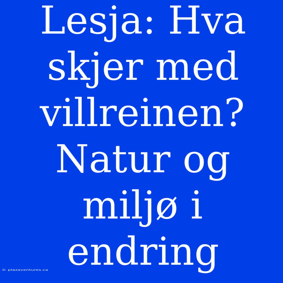 Lesja: Hva Skjer Med Villreinen? Natur Og Miljø I Endring