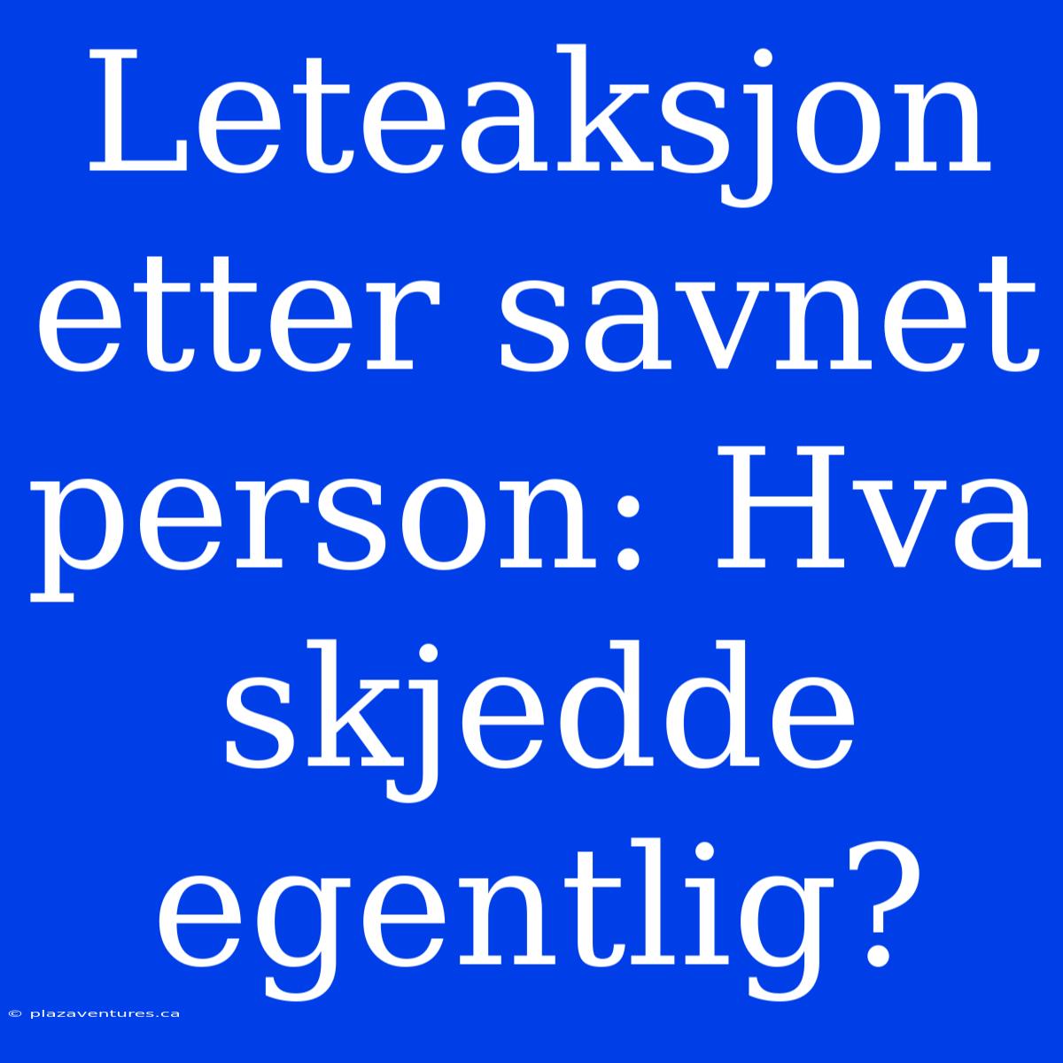 Leteaksjon Etter Savnet Person: Hva Skjedde Egentlig?