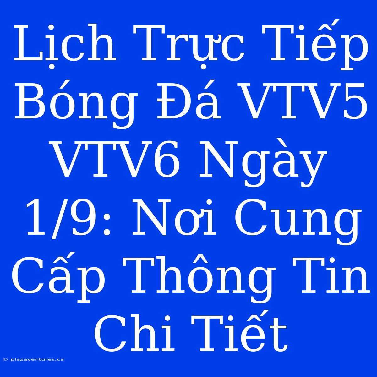 Lịch Trực Tiếp Bóng Đá VTV5 VTV6 Ngày 1/9: Nơi Cung Cấp Thông Tin Chi Tiết