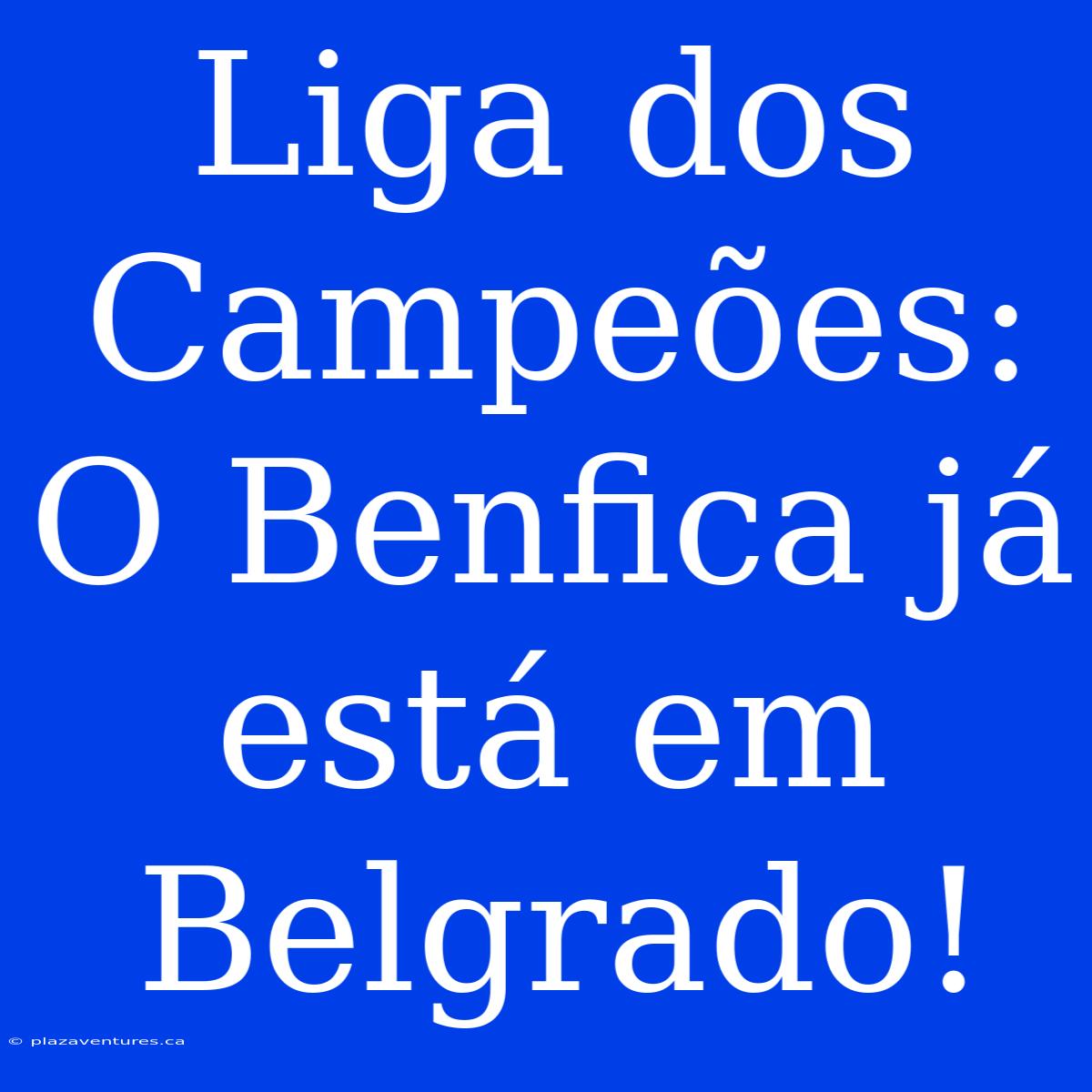 Liga Dos Campeões: O Benfica Já Está Em Belgrado!