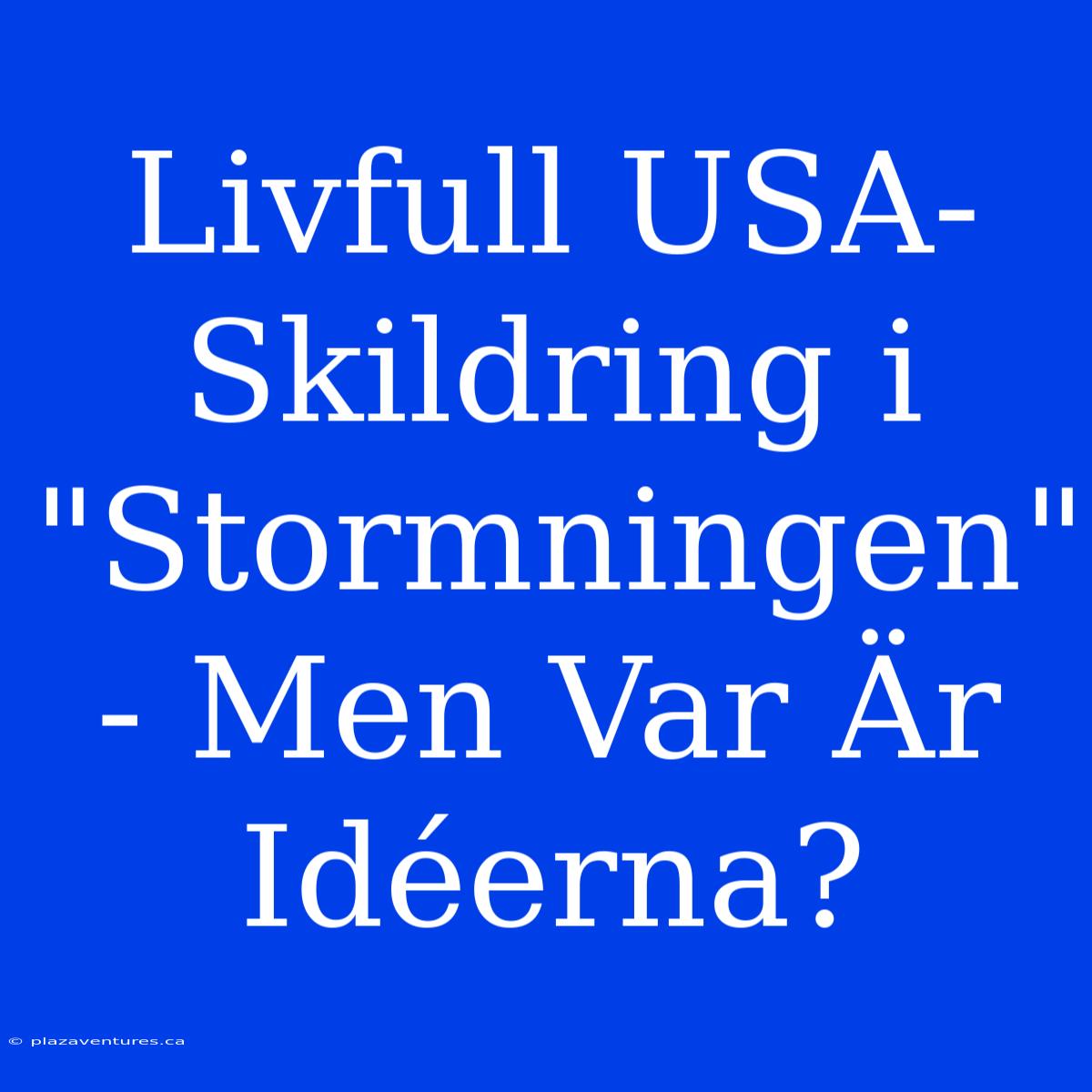 Livfull USA-Skildring I 