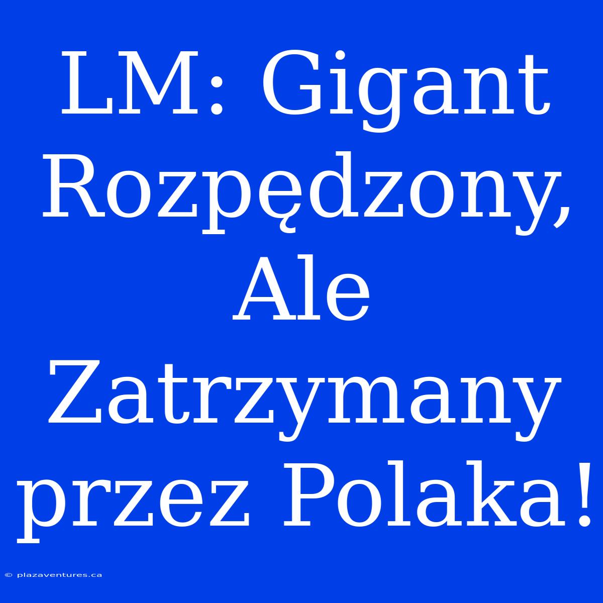 LM: Gigant Rozpędzony, Ale Zatrzymany Przez Polaka!