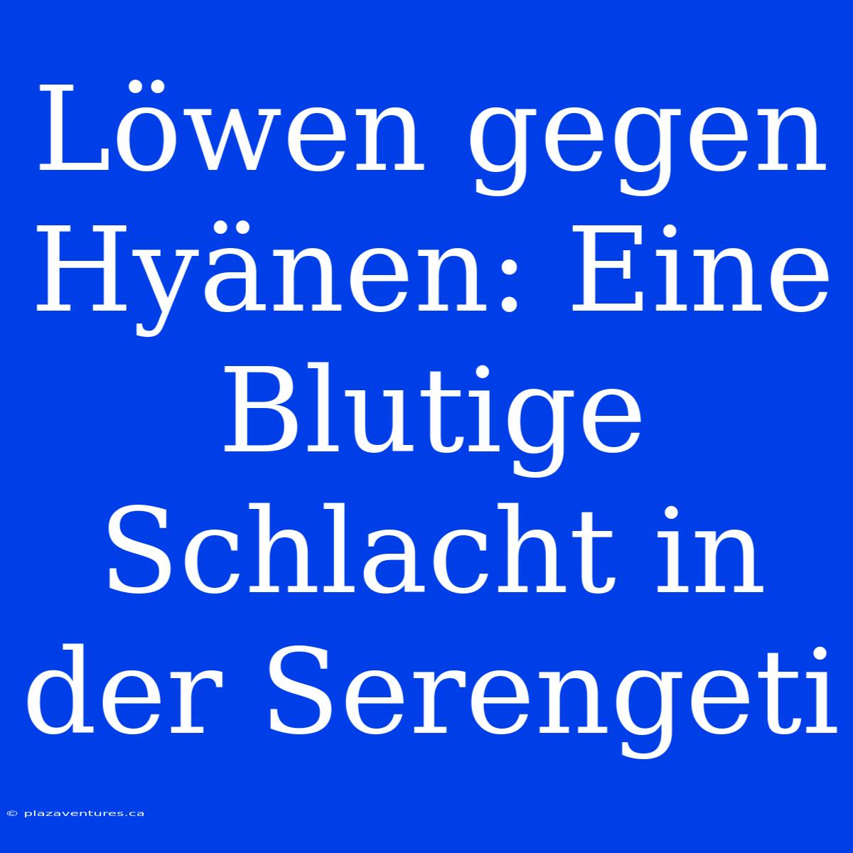 Löwen Gegen Hyänen: Eine Blutige Schlacht In Der Serengeti