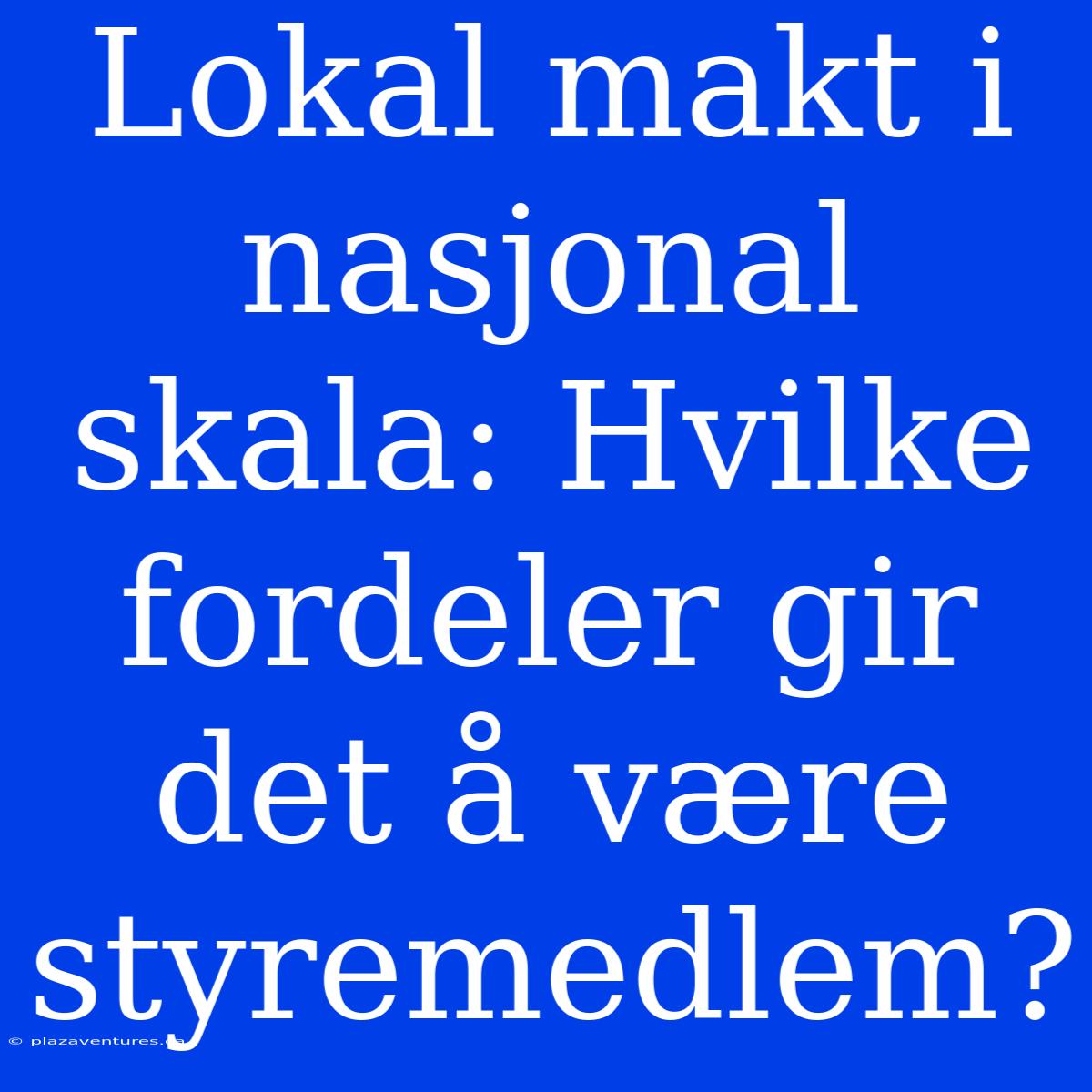 Lokal Makt I Nasjonal Skala: Hvilke Fordeler Gir Det Å Være Styremedlem?