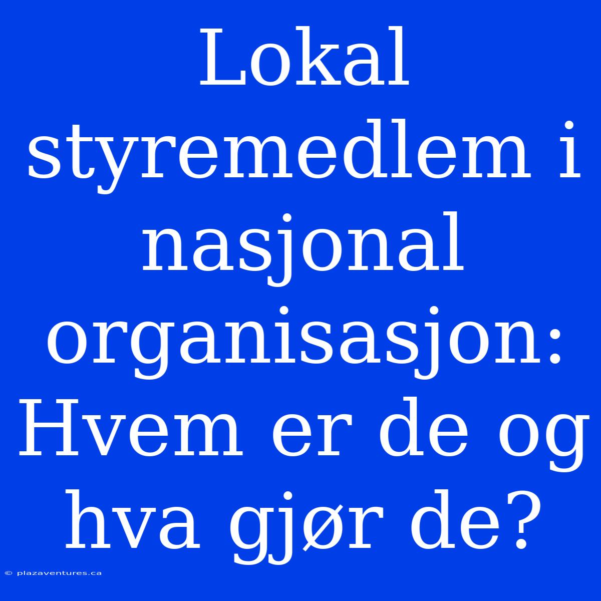 Lokal Styremedlem I Nasjonal Organisasjon: Hvem Er De Og Hva Gjør De?