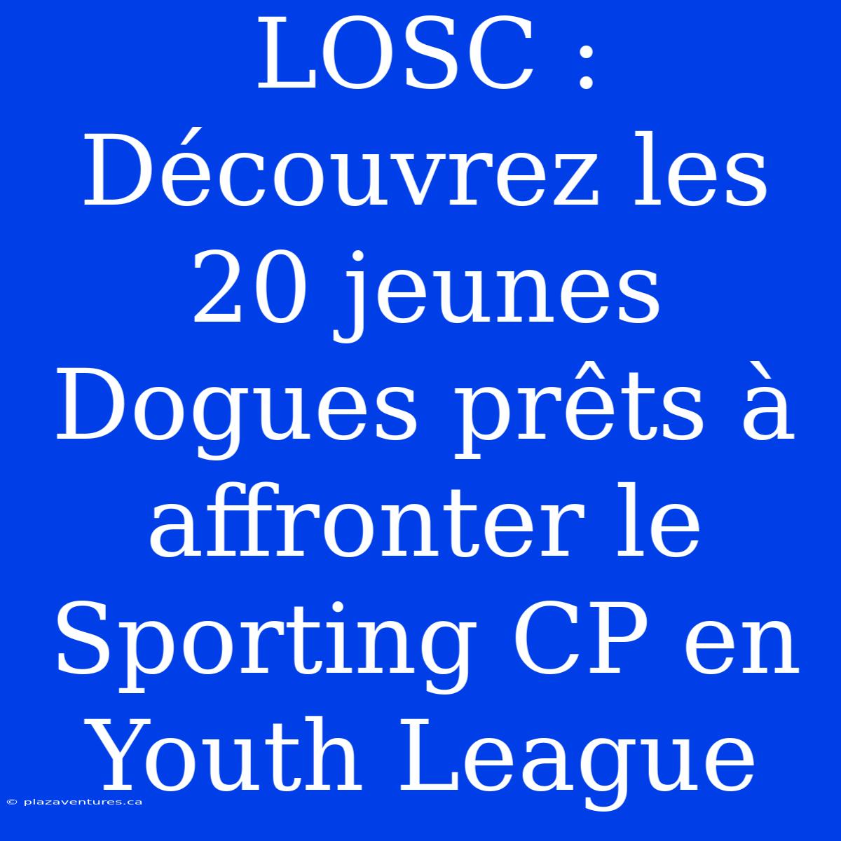 LOSC : Découvrez Les 20 Jeunes Dogues Prêts À Affronter Le Sporting CP En Youth League