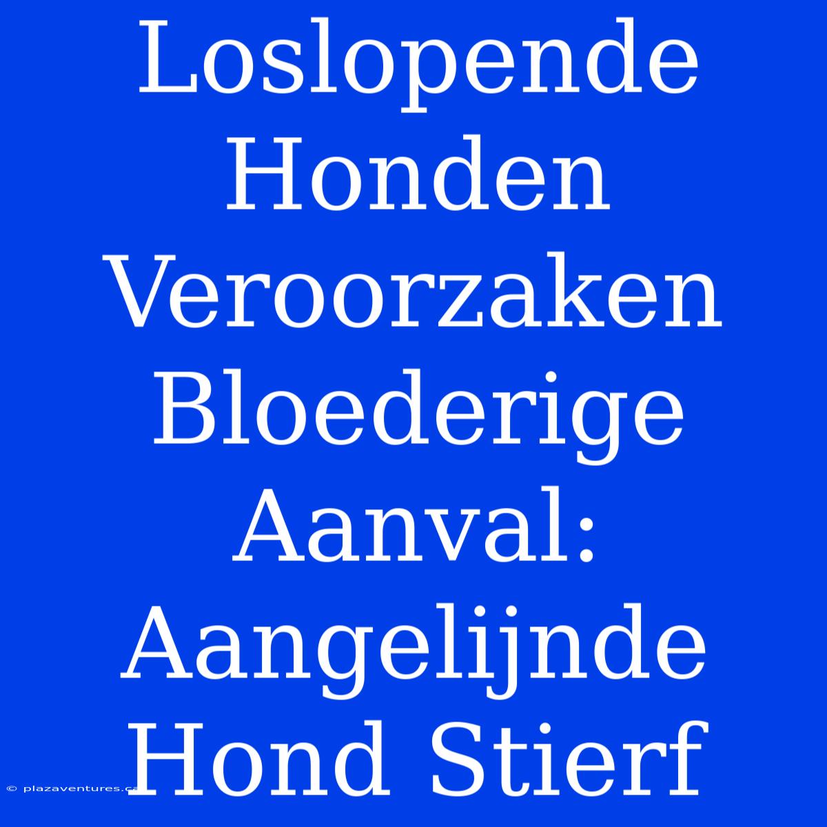 Loslopende Honden Veroorzaken Bloederige Aanval: Aangelijnde Hond Stierf