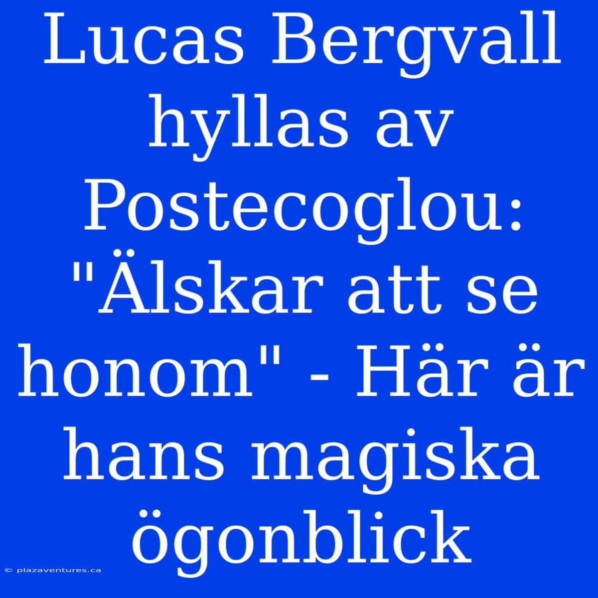 Lucas Bergvall Hyllas Av Postecoglou: 