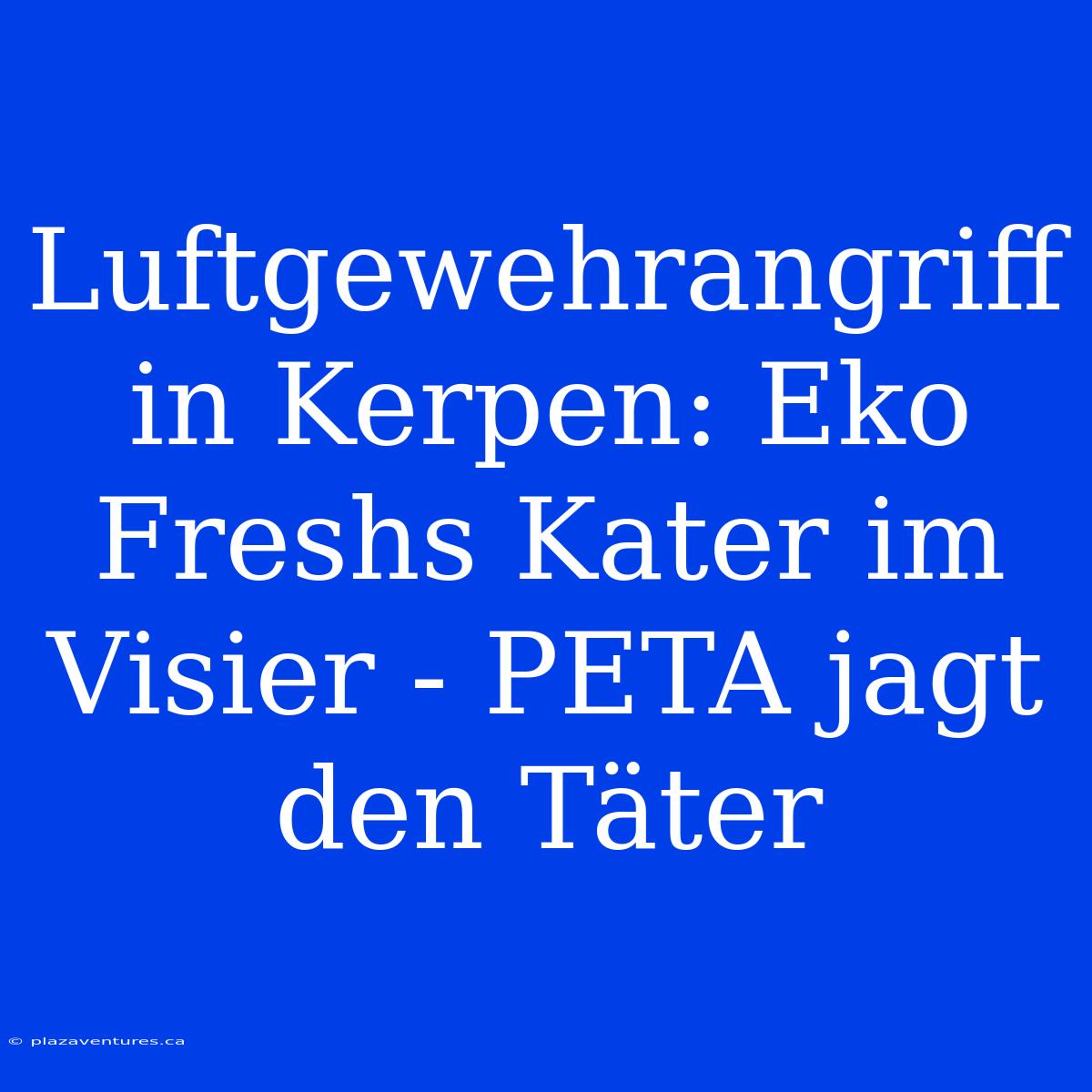 Luftgewehrangriff In Kerpen: Eko Freshs Kater Im Visier - PETA Jagt Den Täter