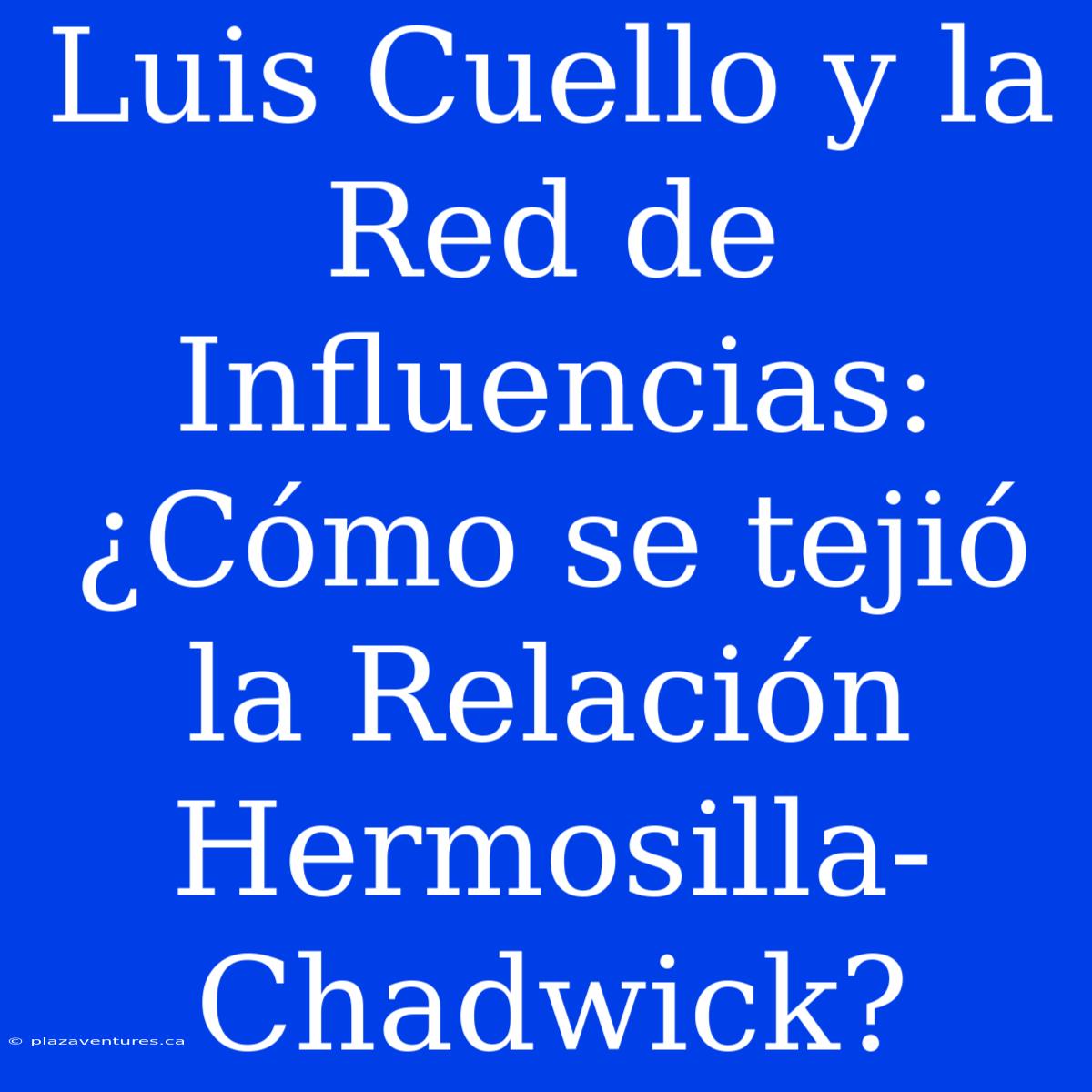 Luis Cuello Y La Red De Influencias: ¿Cómo Se Tejió La Relación Hermosilla-Chadwick?