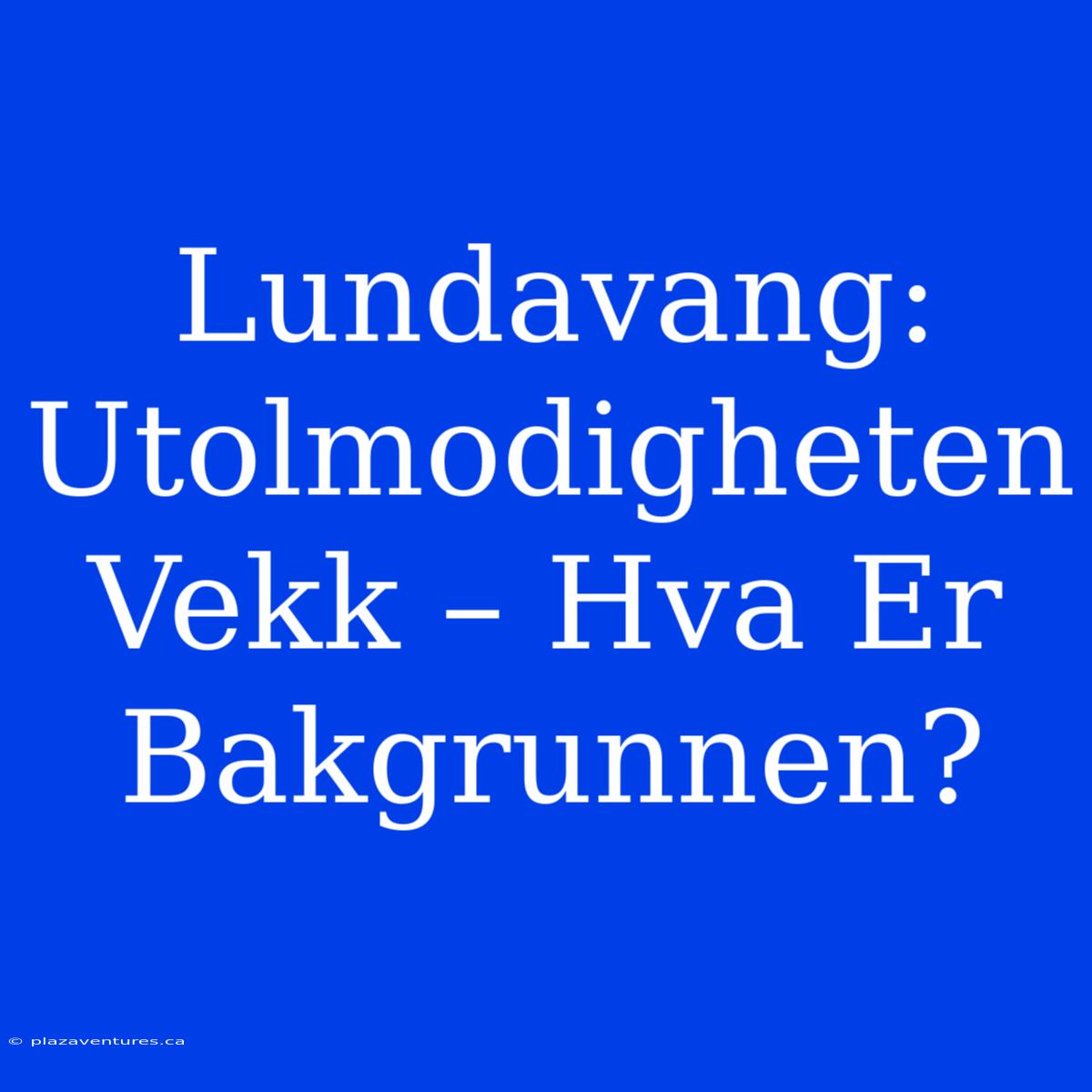 Lundavang: Utolmodigheten Vekk – Hva Er Bakgrunnen?