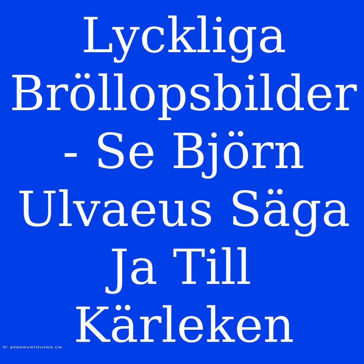 Lyckliga Bröllopsbilder - Se Björn Ulvaeus Säga Ja Till Kärleken