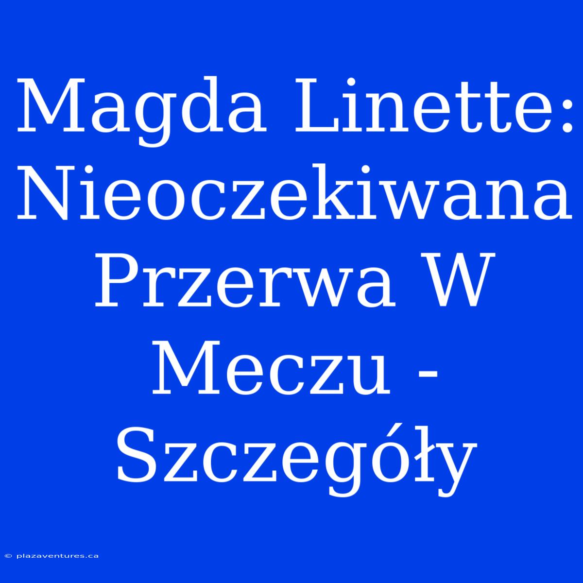 Magda Linette: Nieoczekiwana Przerwa W Meczu - Szczegóły